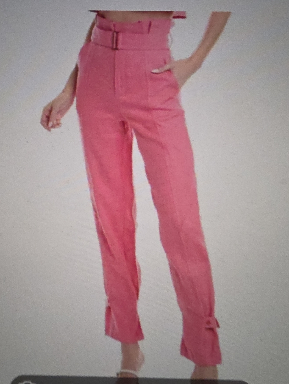 HEVRON Leona Pants In Bublegum Size 2 $398
